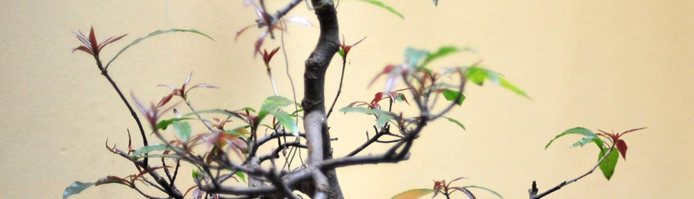 Блог Олександра Вдовиченка